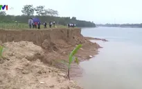 Thanh Hóa: Đình chỉ công tác Phó Chủ tịch xã, điều tra nghi vấn “bảo kê” cát tặc