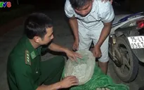Quảng Trị triệt phá đường dây mua bán, vận chuyển thuốc nổ qua biên giới