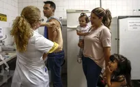 Brazil phát hiện 8 đột biến gene của virus sốt vàng da