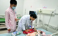 Triệu chứng sốt xuất huyết, nguyên nhân và cách điều trị bệnh ở trẻ nhỏ