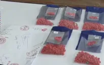 Nghệ An: Bắt 3 đối tượng, thu hơn 1.000 viên ma túy tổng hợp