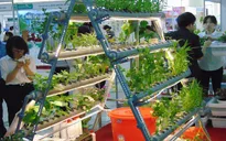 Hà Nội phát triển chuỗi liên kết nông nghiệp an toàn