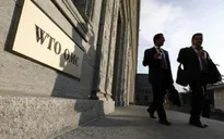WTO cảnh báo các biện pháp trả đũa thương mại