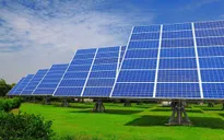 Đắk Lắk chấp thuận 18 nhà đầu tư khảo sát, lập dự án điện mặt trời
