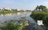 Cảnh báo các dòng sông bị ô nhiễm hóa chất dược phẩm
