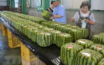 Nhật Bản thúc đẩy xuất khẩu hàng nông sản