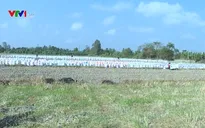Ồ ạt khai thác đất mặt ruộng ở Bạc Liêu