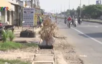 Vĩnh Long: Hàng loạt nắp cống bị mất “bẫy" người đi đường