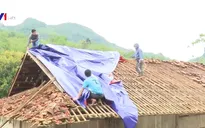 Bắc Kạn: Mưa đá, tố lốc gây thiệt hại nặng nề tài sản, hoa màu