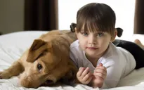 Lợi ích của việc nuôi chó trong gia đình