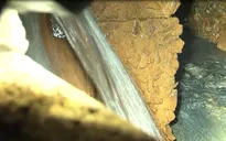 Gia Lai: Phạt 500 triệu đồng nhà máy đường xả thải gây ô nhiễm