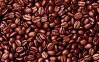 Cà phê Việt Nam đã chinh phục thế giới như thế nào?