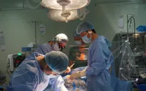 Cần Thơ: Cứu sống bệnh nhân 76 tuổi bị u nhầy nhĩ trái