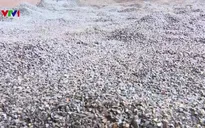 Cà phê trộn bột pin: Cực kỳ nguy hiểm, ảnh hưởng tới thần kinh