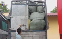 Hải quan bắt giữ 6 xe tải chở hàng lậu