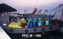 Quảng Ninh: Bắt giữ 8 tàu khai thác thủy sản trái phép