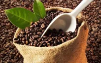 Giải pháp giữ vững thương hiệu cà phê Việt sau vụ cà phê trộn bột pin?