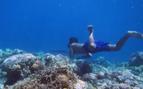Con người hoàn toàn có khả năng sống dưới đáy đại dương