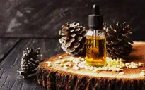 Lợi ích đáng ngạc nhiên của vỏ cây thông