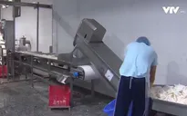 Giải thưởng Chất lượng Quốc gia: “Thúc” DN nâng cao năng suất