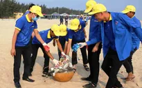 Hơn 4.000 tình nguyện thực hiện thu gom rác tại 5 tỉnh thành
