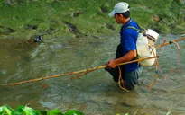 Hai thanh niên tử vong khi dùng điện chích cá ở suối Cam Ly