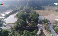 Phục dựng giá trị lịch sử nhà nước Đại Cồ Việt