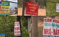Giá đất Phú Quốc tăng phi mã chủ yếu do giới đầu cơ