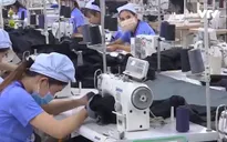 Sẽ tăng tuổi nghỉ hưu của lao động