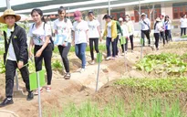 100% trường THPT ở Bến Tre triển khai dạy khởi nghiệp