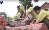 Bộ Công an phát hiện thêm nhiều gỗ quý trong kho của Phượng "râu" dành xây biệt thự