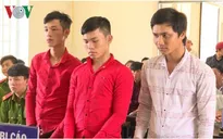 Vĩnh Long: Xét xử 4 đối tượng đốt xe, chống người thi hành công vụ
