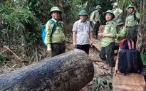 Quảng Nam đình chỉ công tác 6 cán bộ kiểm lâm liên quan đến 2 vụ phá rừng
