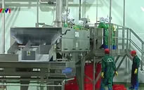 Khánh thành tổ hợp chế biến hoa quả xuất khẩu lớn nhất Nam Bộ