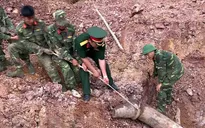 Hôm nay (4/4) - Ngày Thế giới phòng chống bom mìn