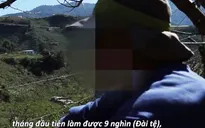 Công ty môi giới xuất khẩu lao động phải minh bạch thông tin cho người lao động