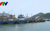 Bình Định: 41 chủ tàu vỏ thép nợ quá hạn trên 58 tỷ đồng