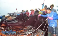 Tập trung triển khai các giải pháp cấp bách khắc phục thẻ vàng