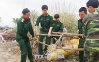 Quảng Ninh: Di dời thành công quả bom nặng gần 250kg