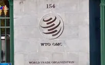 Đằng sau động thái khiếu nại lên WTO của Mỹ và Trung Quốc