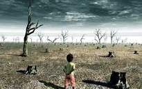 WHO cảnh báo nhiệt độ cao bất thường sẽ cướp đi 250.000 sinh mạng mỗi năm