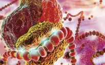 Axit di truyền RNA có thể chống ung thư