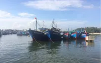 Ngư dân Bình Định thống nhất phương án đền bù tàu cá theo Nghị định 67