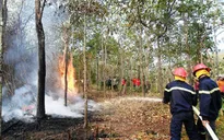 Công điện khẩn yêu cầu xây dựng phương án phòng cháy, chữa cháy rừng