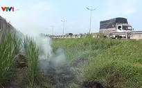 Bộ Giao thông Vận tải đề nghị ngăn chặn đốt rơm rạ gây mất ATGT
