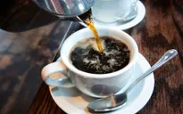 Kiểm tra caffeine trong máu có thể giúp chẩn đoán bệnh Parkinson