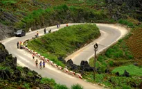 Quảng bá du lịch Hà Giang qua phong trào thể thao sức bền