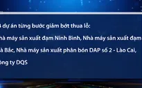 Xử lý 12 dự án kém hiệu quả của ngành Công Thương: Đã có những chuyển biến tích cực