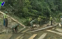 Vụ phá rừng quy mô lớn ở huyện Tuyên Hóa, Quảng Bình: Kỷ luật 5 cán bộ kiểm lâm