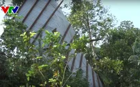 Quảng Nam: Lốc xoáy khiến nhiều nhà dân bị tốc mái